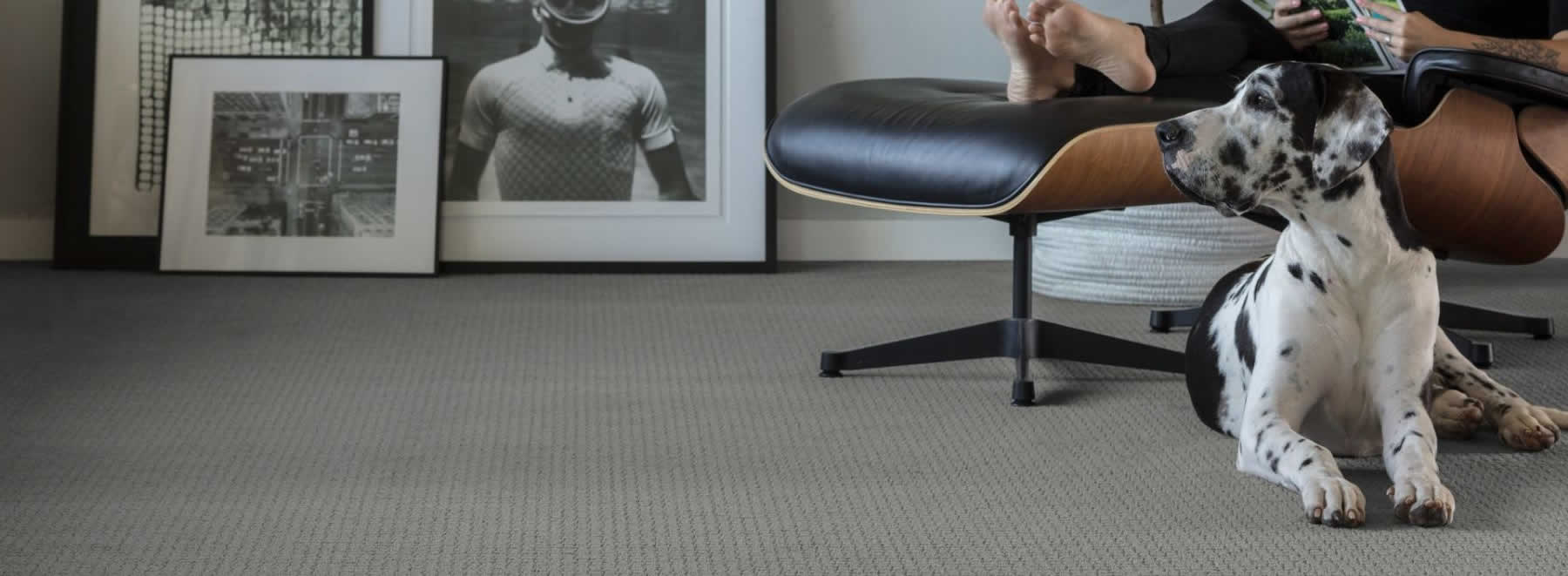 Ramsey Carpet About Us